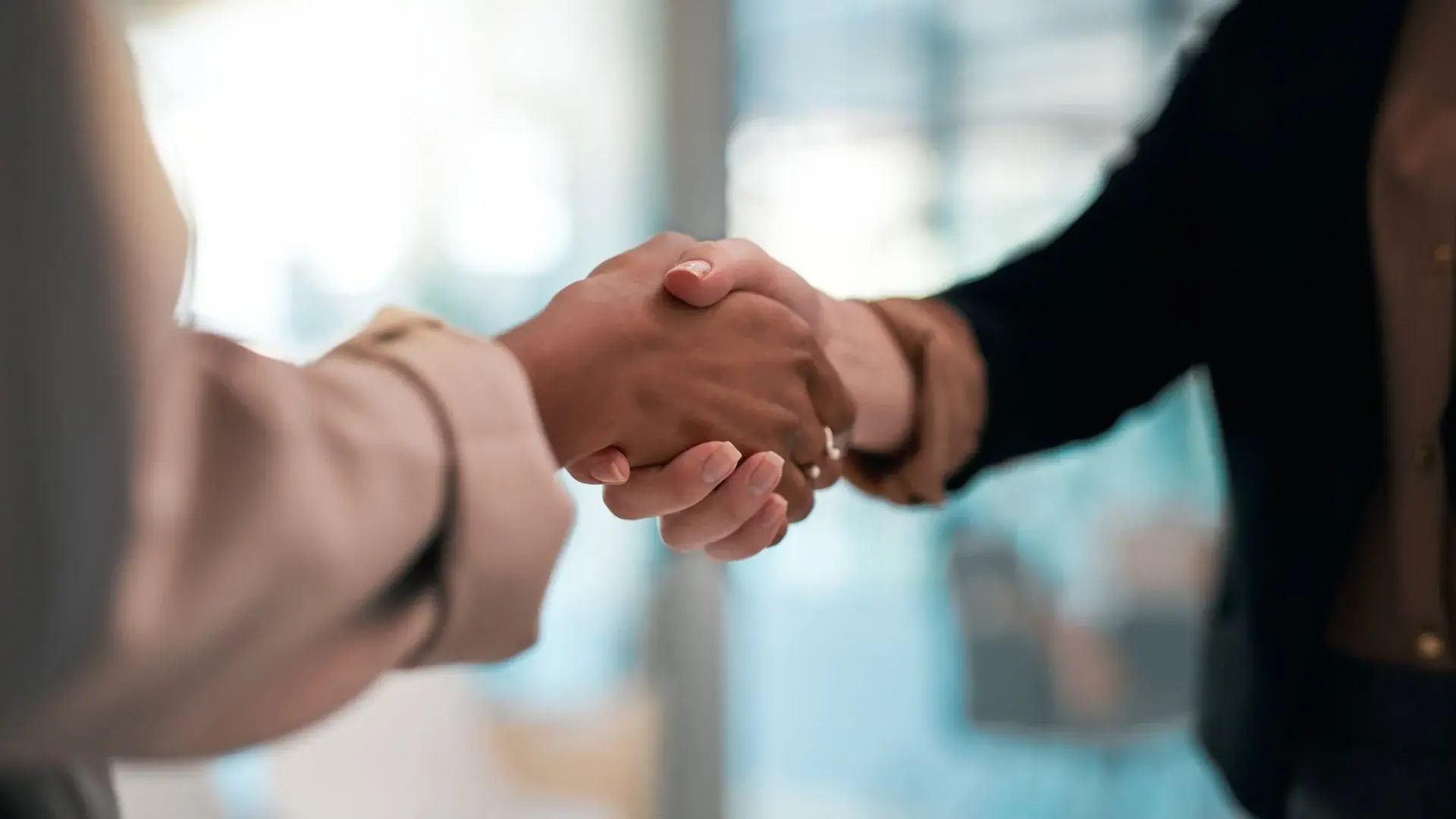 Création de société à 50-50 : ce qu'il faut savoir