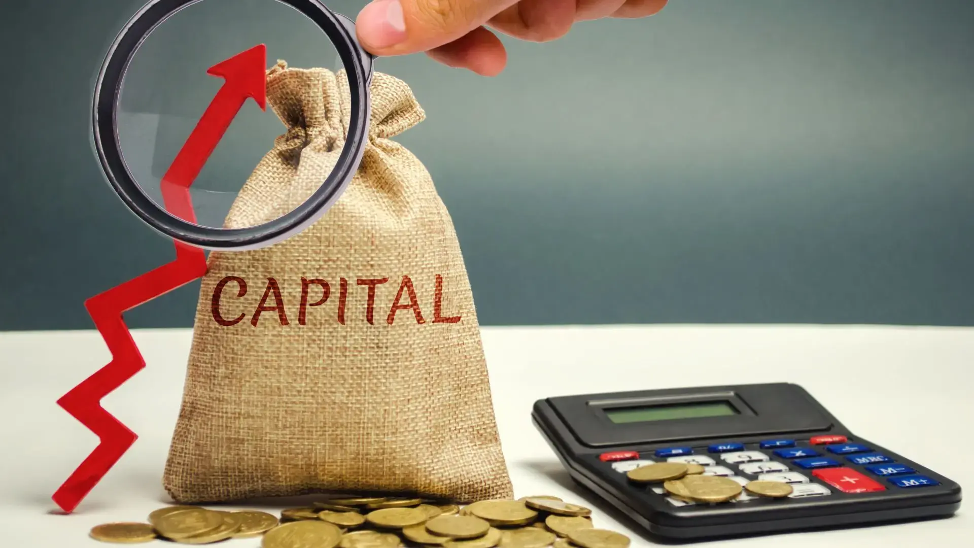 La libération du capital en SAS : toutes les infos à connaître