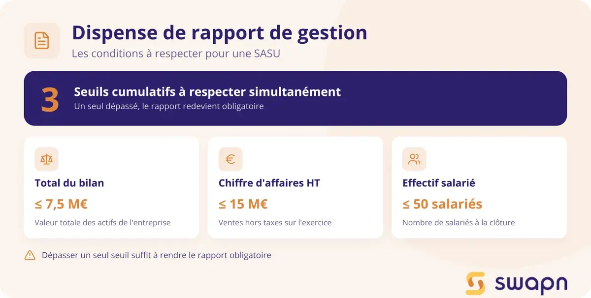 La dispense de rapport de gestion en 3 conditions