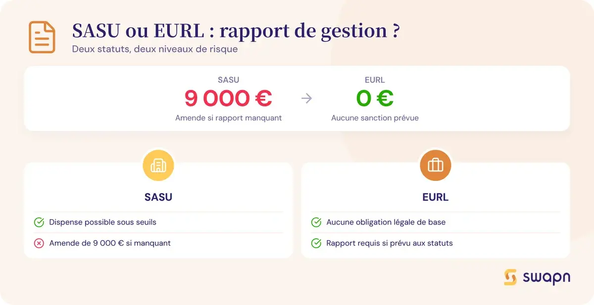 SASU ou EURL face au rapport de gestion
